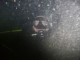 Thumbs/tn_First Dive Jim  Kieran.jpg